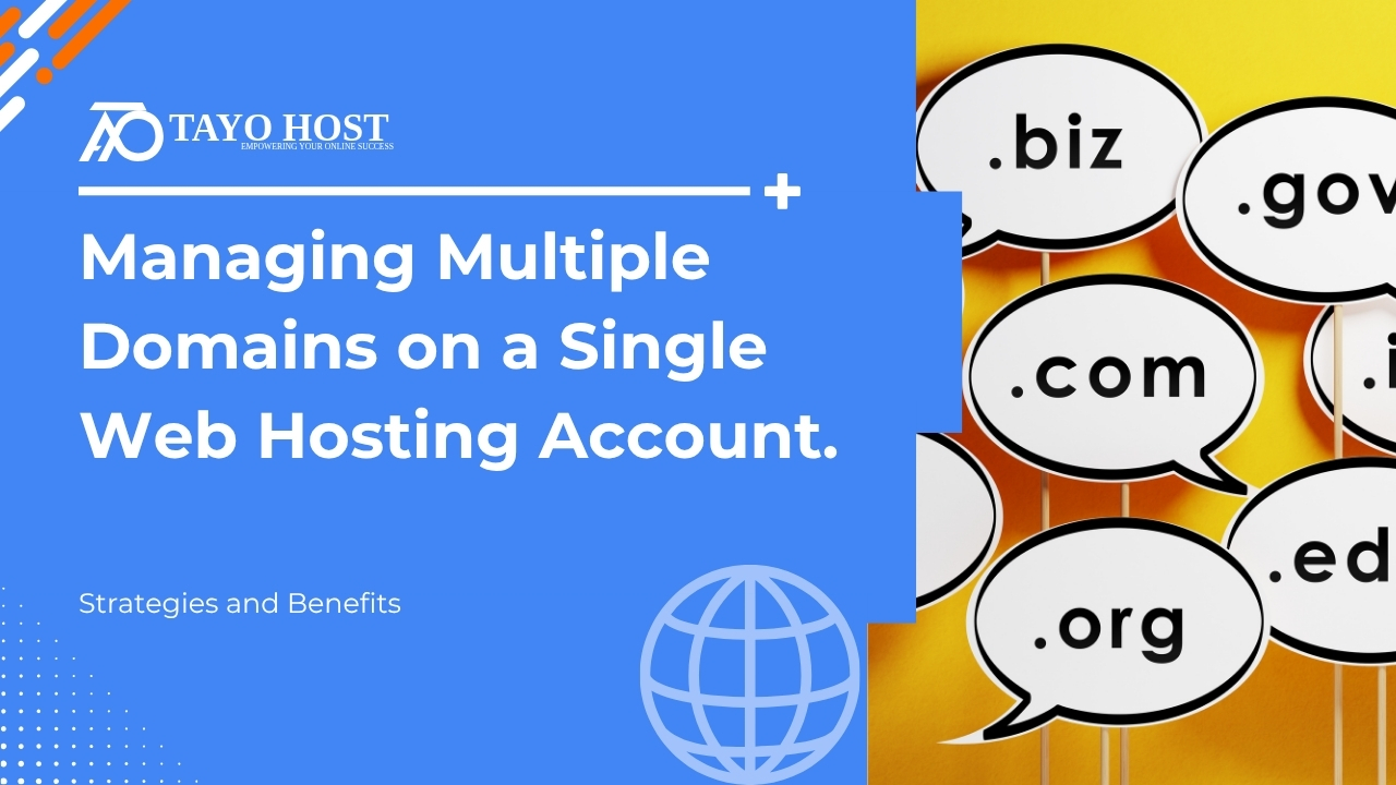 Managing Multiple Domains on a Single Web Hosting Account