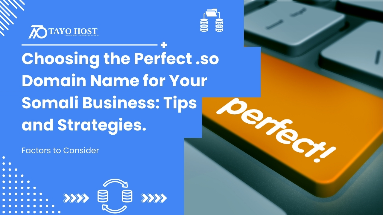 Choosing the Perfect .so Domain Name for Your Somali Business: Tips and Strategies.